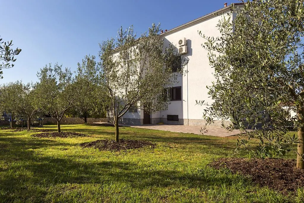 Apartments Renata Pinezici  0*, Pinezici (Krk)